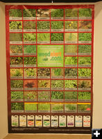 Weed Chart. Photo by Dawn Ballou, Pinedale Online.