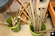 Willow cuttings. Photo by Dawn Ballou, Pinedale Online.