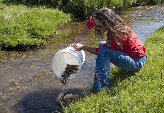 Wyoming Game & Fish Department