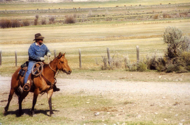 Albert Sommers. Photo by Jonita Sommers.