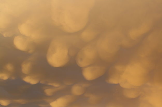 Mammatus clouds. Photo by Jennifer Frazier.