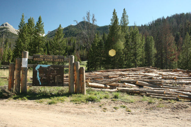 Firewood. Photo by Dawn Ballou, Pinedale Online.
