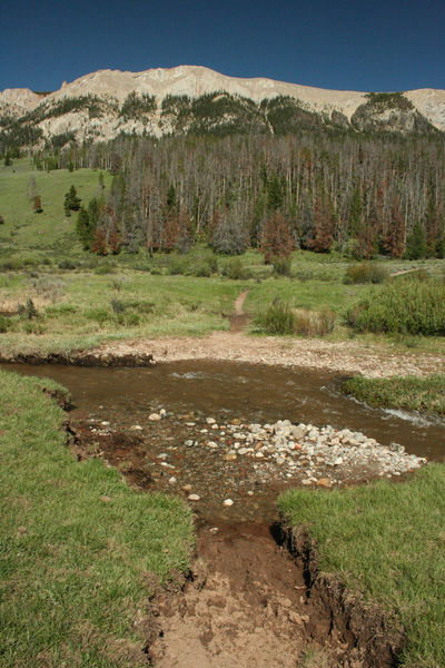 Stream crossing. Photo by Dawn Ballou, Pinedale Online.