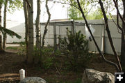 Outside Dog Kennels. Photo by Dawn Ballou, Pinedale Online.