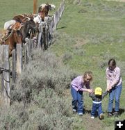 Littlest cowgirl. Photo by Joy Ufford, Sublette Examiner.