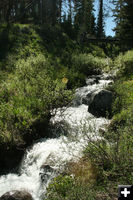 Cascading stream. Photo by Dawn Ballou, Pinedale Online.