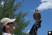 Flight check. Photo by Cat Urbigkit, Pinedale Online.