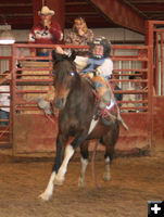 Donnie Proffit - Bareback. Photo by Dawn Ballou, Pinedale Online.