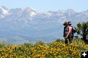 Wondering Wyoming Range. Photo by Derek Farr, Sublette Examiner.