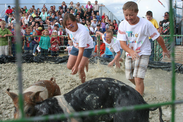 Greased Pig Contest. Photo by Pam McCulloch, Pinedale Online.