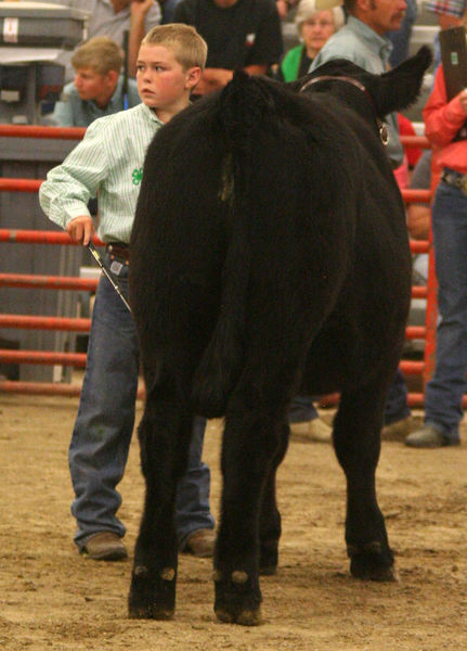 Stetson Ivy. Photo by Clint Gilchrist, Pinedale Online.