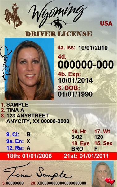 License for Minors. Photo by Wyoming Department of Transportation.