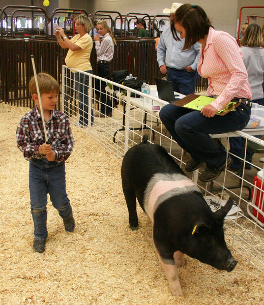 Pee Wee Showmanship. Photo by Pinedale Online.