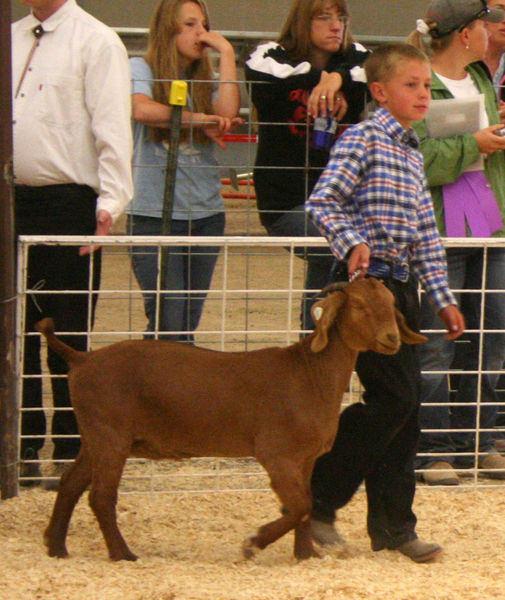 Garett Schamber. Photo by Clint Gilchrist, Pinedale Online.