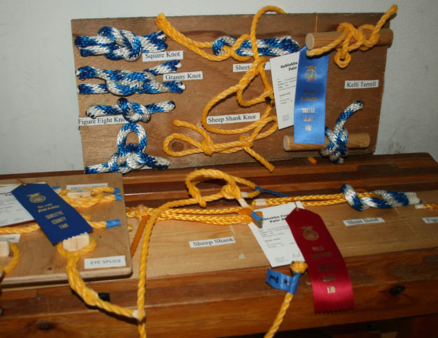 FFA Knots. Photo by Dawn Ballou, Pinedale Online.