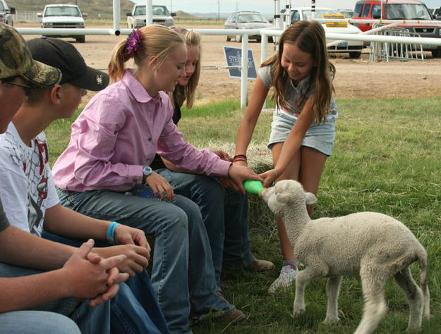 Feeding the lamb. Photo by Dawn Ballou, Pinedale Online.