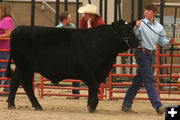 Luke Barron. Photo by Clint Gilchrist, Pinedale Online.