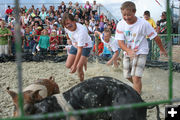 Greased Pig Contest. Photo by Pam McCulloch, Pinedale Online.