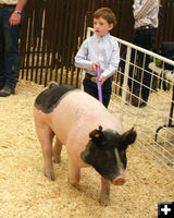 Pee Wee Showmanship. Photo by Pinedale Online.