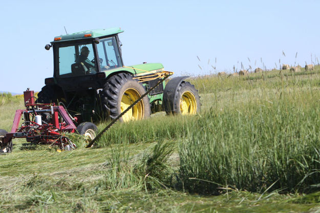 Mowing. Photo by Jonita Sommers.