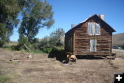 Moving over. Photo by Clint Gilchrist, Pinedale Online.