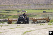 Joey Cook raking hay. Photo by Jonita Sommers.