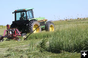 Mowing. Photo by Jonita Sommers.