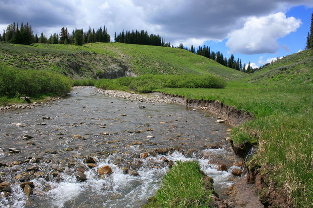 North Horse Creek. Photo by Fred Pflughoft.