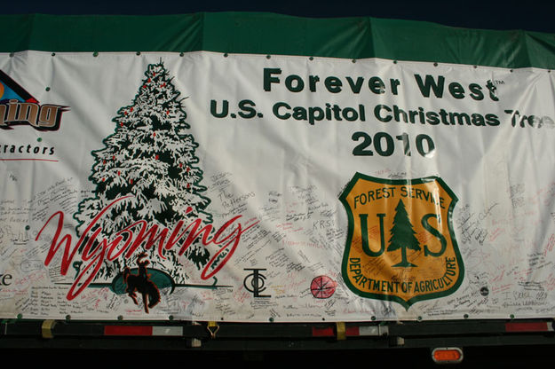 Tree banner. Photo by Dawn Ballou, Pinedale Online.