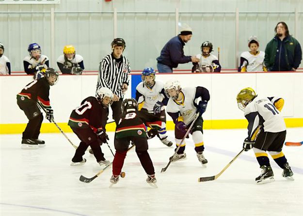 Face off. Photo by Natalie Bacon.