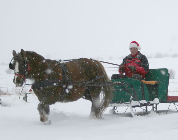 Winter Wonderland. Photo by Dawn Ballou, Pinedale Online.