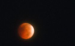 Lunar Eclipse. Photo by Megan Rawlins, Pinedale Roundup.