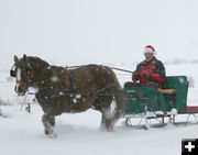 Winter Wonderland. Photo by Dawn Ballou, Pinedale Online.