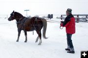 Getting used to the reins again. Photo by Dawn Ballou, Pinedale Online.