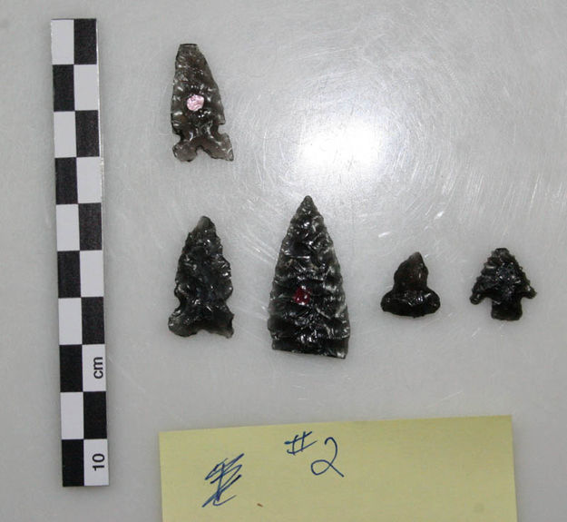 Obsidian points. Photo by Clint Gilchrist, Pinedale Online.