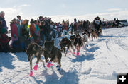 They're Off!. Photo by Chris Havener.