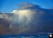 Snow Squall. Photo by Dave Bell.