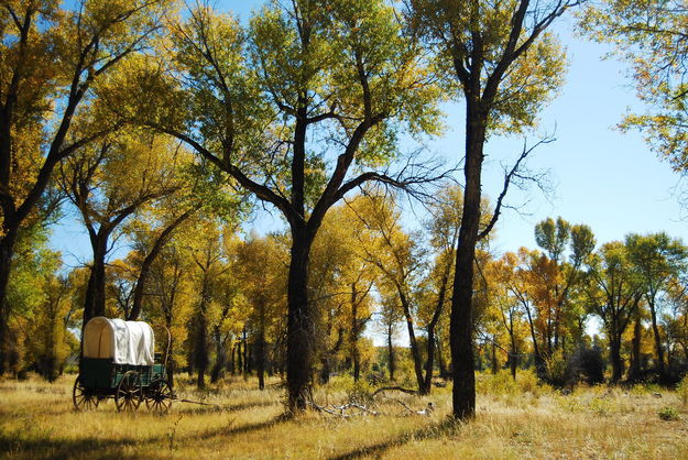 Lander Trail-New Fork River Crossing site. Photo by Derek Farr, Sublette County Historical Society.