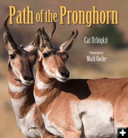 Path of the Pronghorn. Photo by Cat Urbigkit.