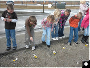 Bouncy Eggs. Photo by Nikki Wadsworth, Pinedale Afterschool  Program.