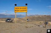 Wildlife warning signs. Photo by Wyoming Department of Transportation.