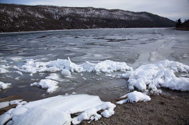 Icy Shores. Photo by Dave Bell.