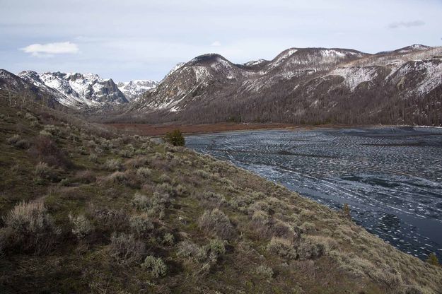 New Fork Lake. Photo by Dave Bell.