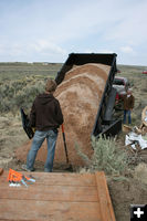 Dumping dirt. Photo by Dawn Ballou, Pinedale Online.