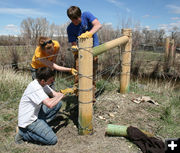 Building fence. Photo by Dawn Ballou, Pinedale Online.