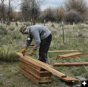 Measuring. Photo by Dawn Ballou, Pinedale Online.