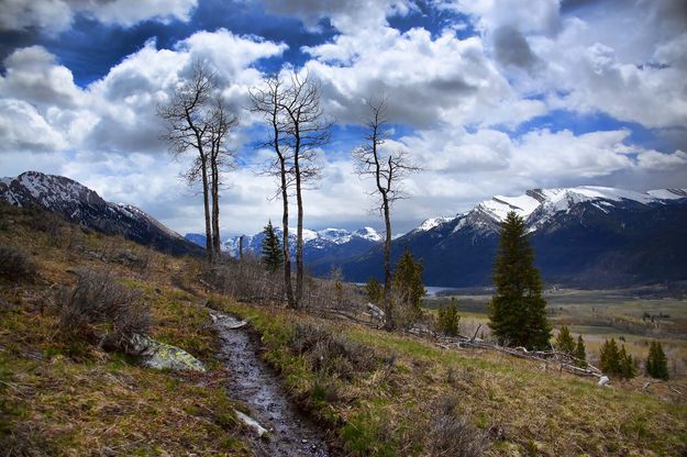 Upper Green Scenery. Photo by Dave Bell.