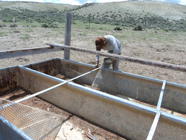 Bird Ladders. Photo by Wyoming Conservation Corps.