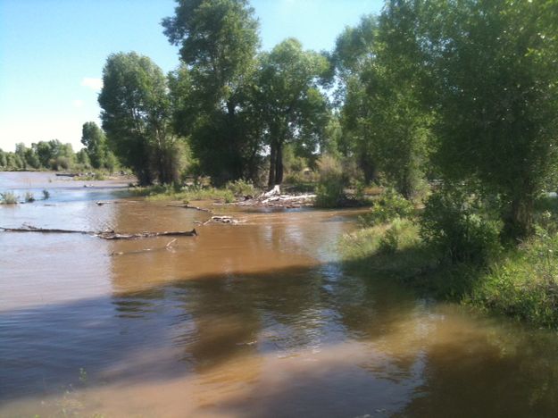 Green River near LaBarge. Photo by Alexandra Heil.