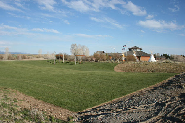 Green grass. Photo by Dawn Ballou, Pinedale Online.